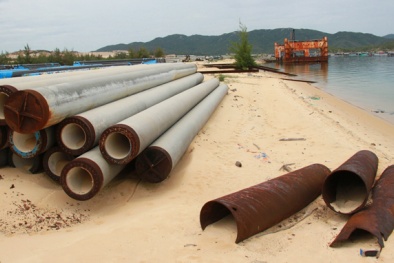 Vinalines lại gây sốc